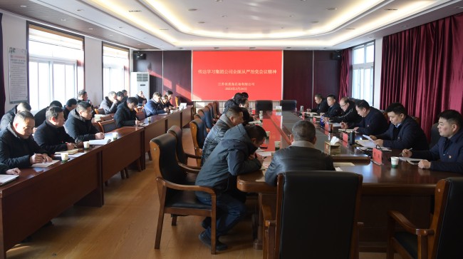 淮海召開貫徹落實(shí)集團(tuán)公司全面從嚴(yán)治黨工作會(huì)議.jpg