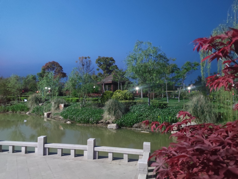 淮海：文明創(chuàng)建讓“愿景”變“美景”.jpg