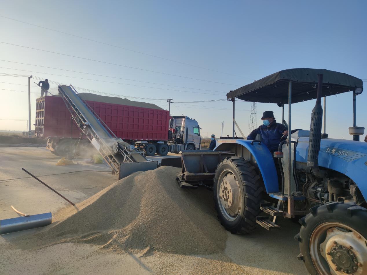 廂式運(yùn)輸車(chē)輛為糧食安全暢通收購(gòu)建立保障.jpg