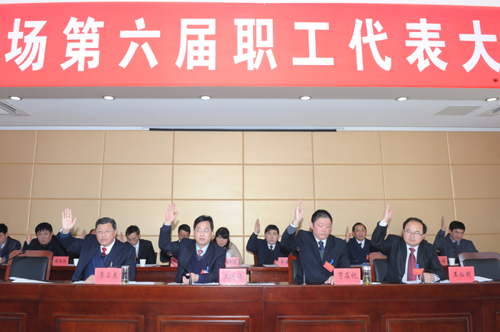 淮海農(nóng)場(chǎng)召開第六屆職工代表大會(huì)第六次會(huì)議4.jpg