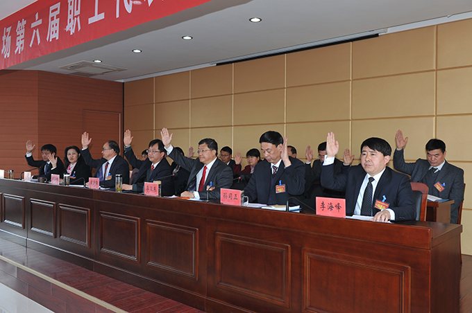 江蘇省淮海農(nóng)場召開六屆九次職代會(huì)5.jpg