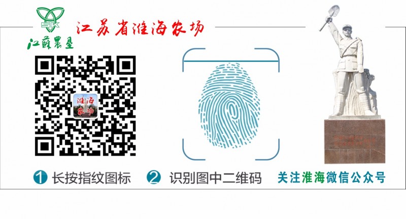 江蘇省淮海農(nóng)場(chǎng)舉辦第十一屆廣場(chǎng)文化節(jié)28.jpg