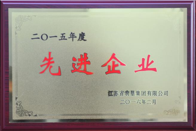 2015年度先進(jìn)企業(yè).jpg
